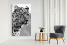 Pixalot Leopard Focus