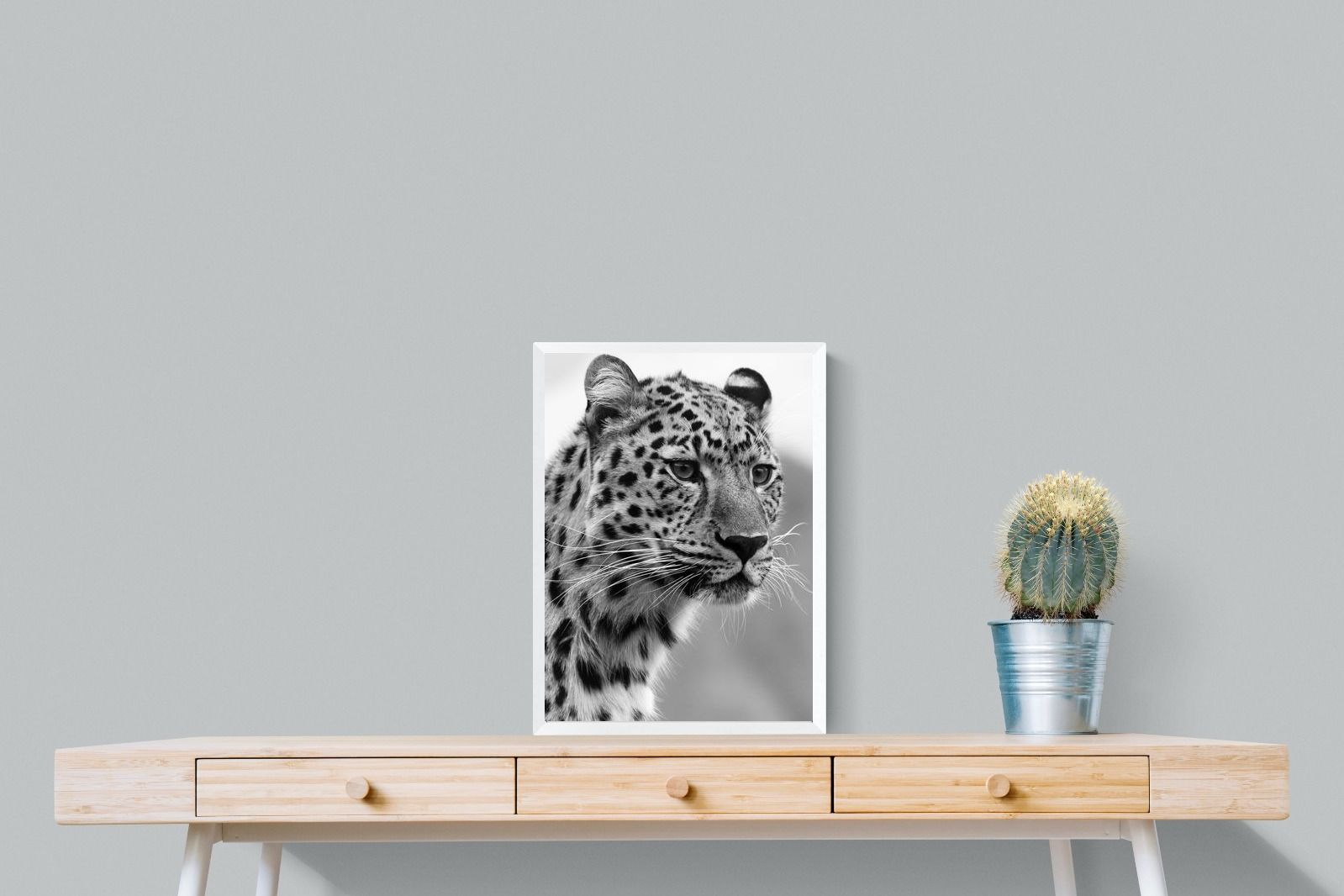Pixalot Leopard Focus