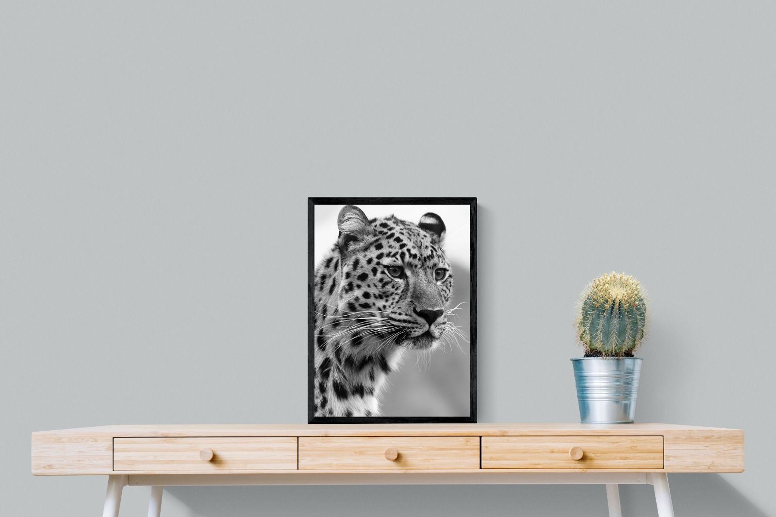 Pixalot Leopard Focus