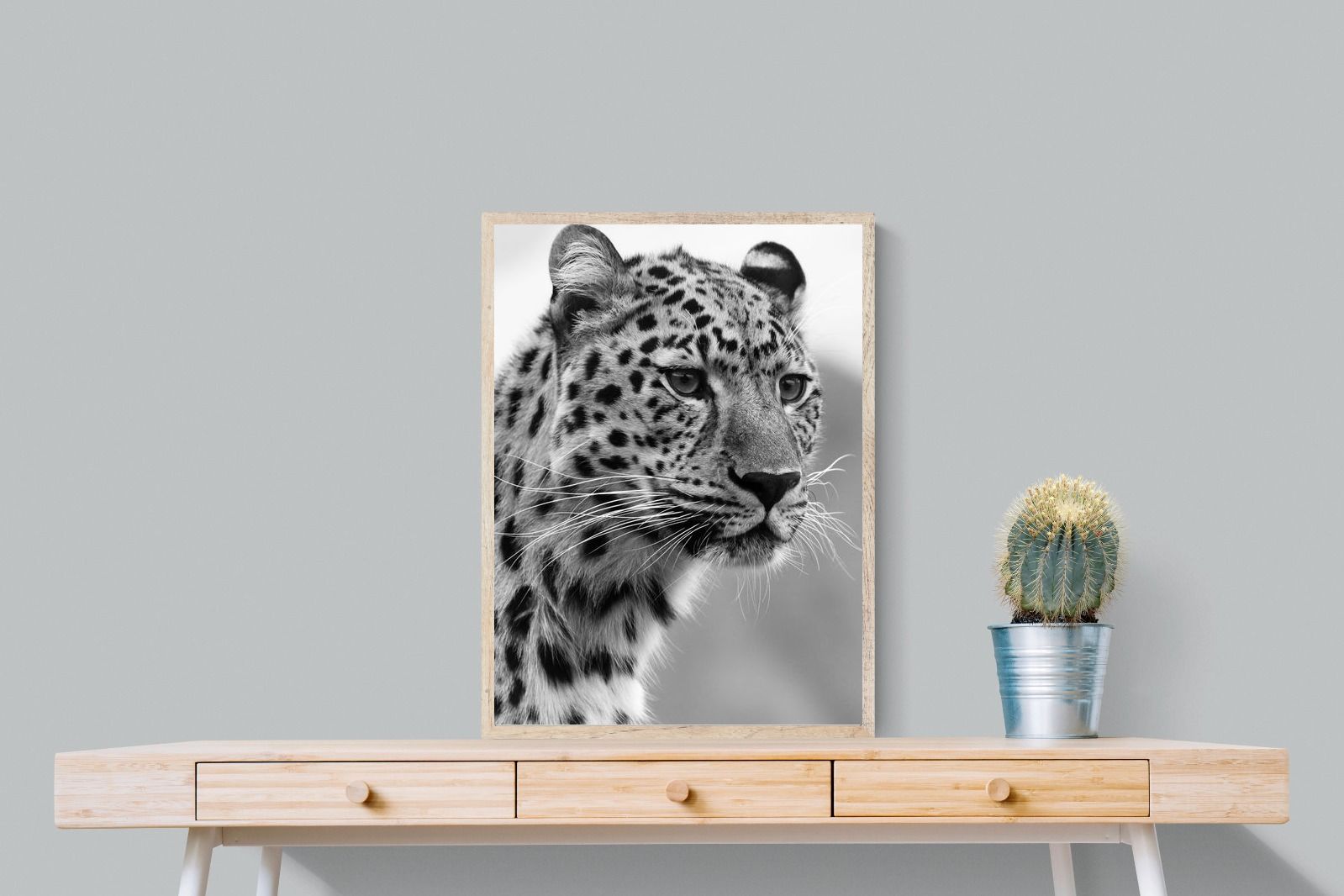 Pixalot Leopard Focus