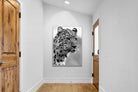 Pixalot Leopard Focus