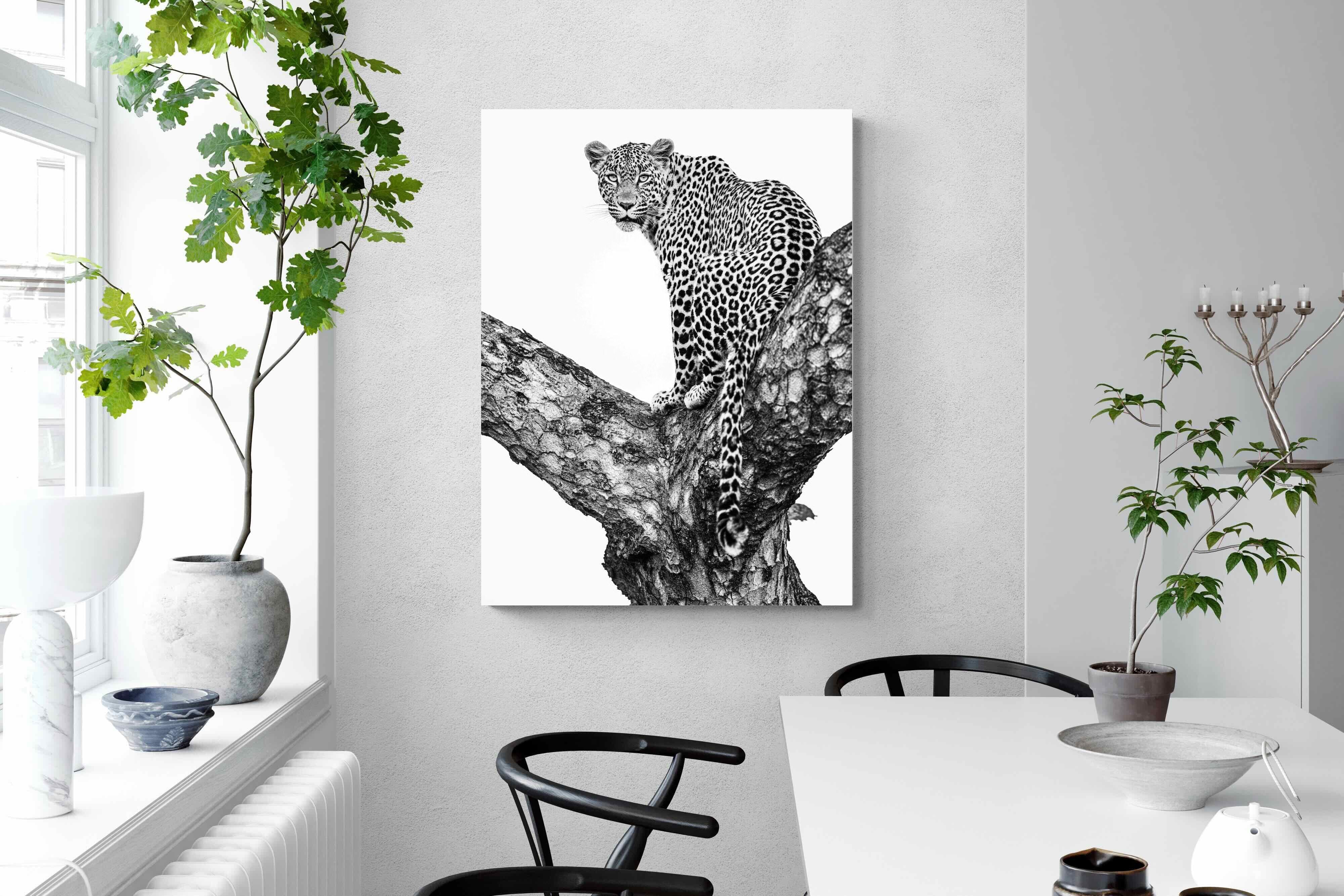 Pixalot ® Leopard in the Tree