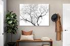 Pixalot ® Leopard Tree