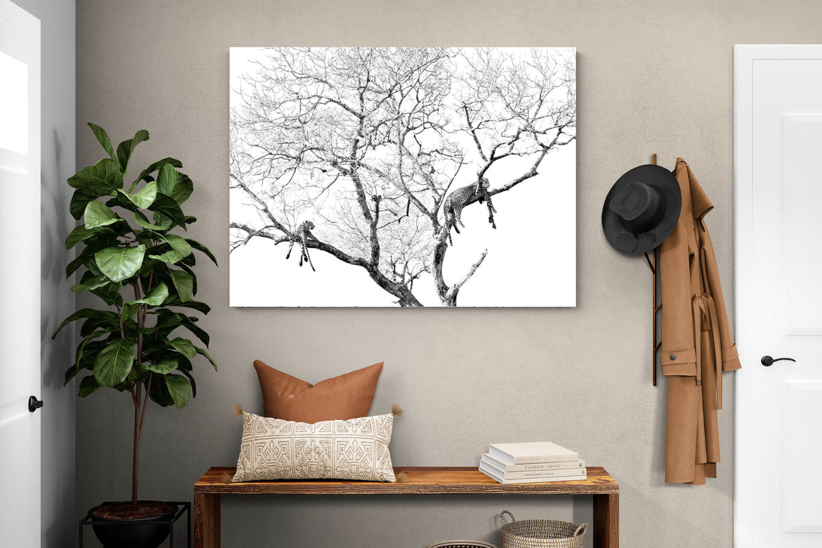 Pixalot ® Leopard Tree