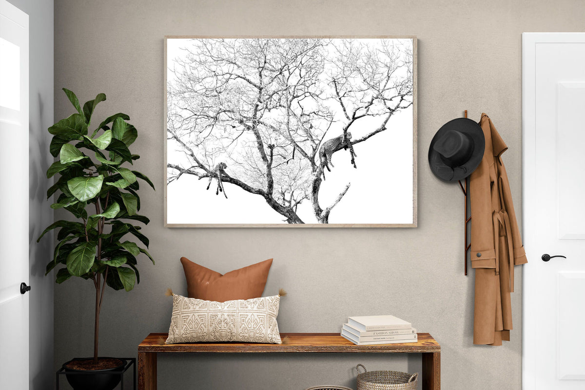 Pixalot ® Leopard Tree