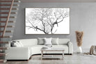Pixalot ® Leopard Tree