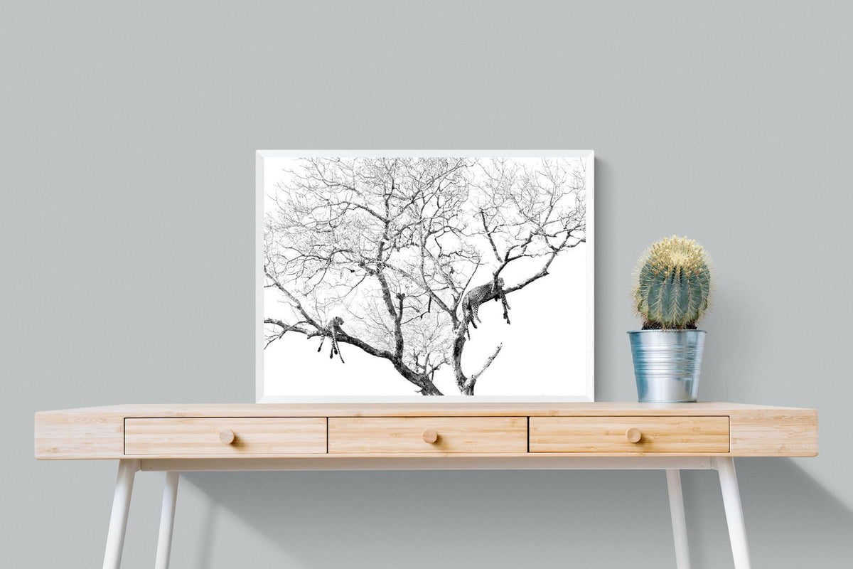 Pixalot ® Leopard Tree