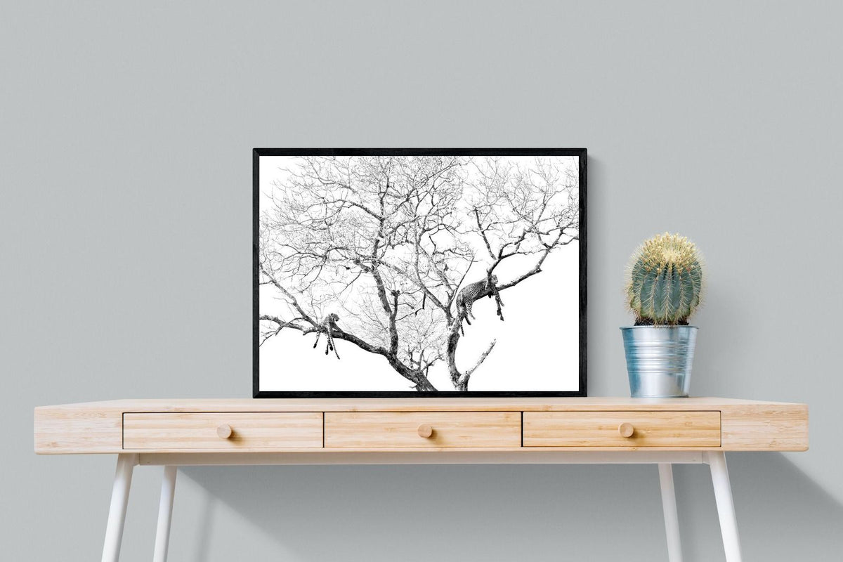 Pixalot ® Leopard Tree