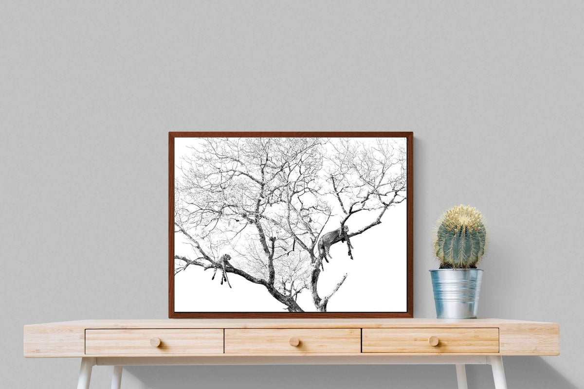 Pixalot ® Leopard Tree