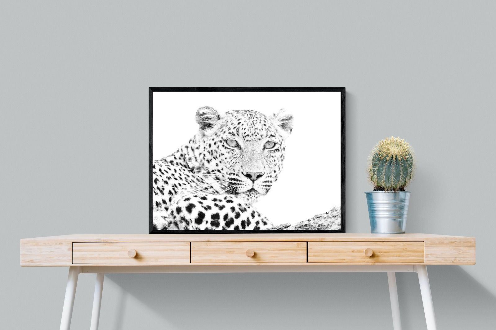 Pixalot Leopard Whiteout