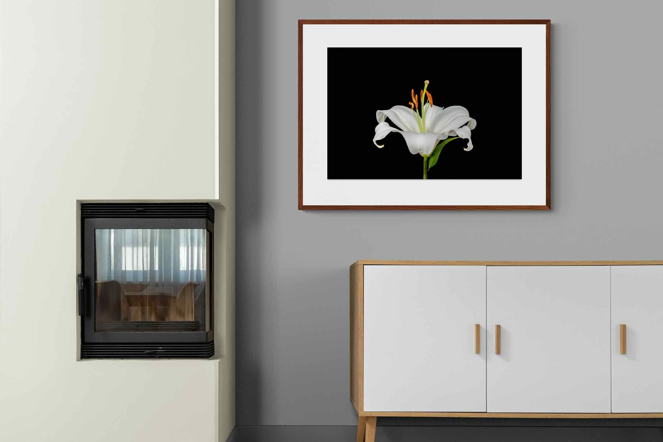 Pixalot ® Lilium on Black