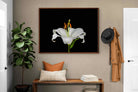 Pixalot ® Lilium on Black