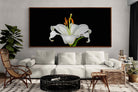 Pixalot ® Lilium on Black