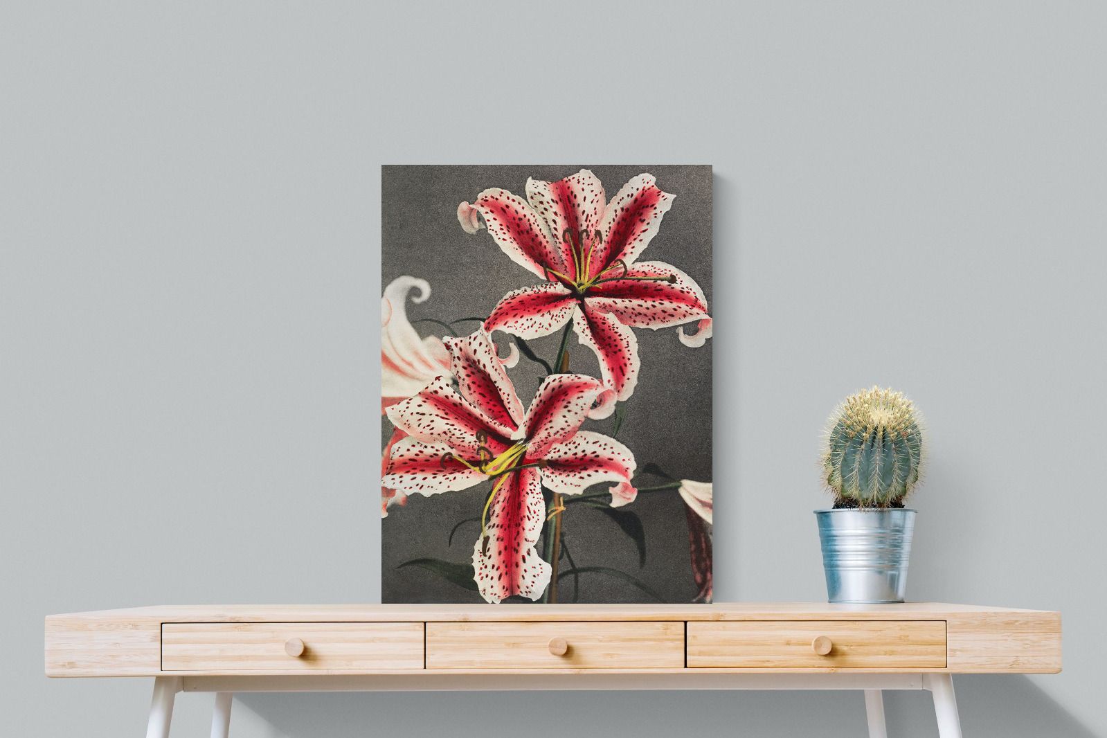 Pixalot Lily #3