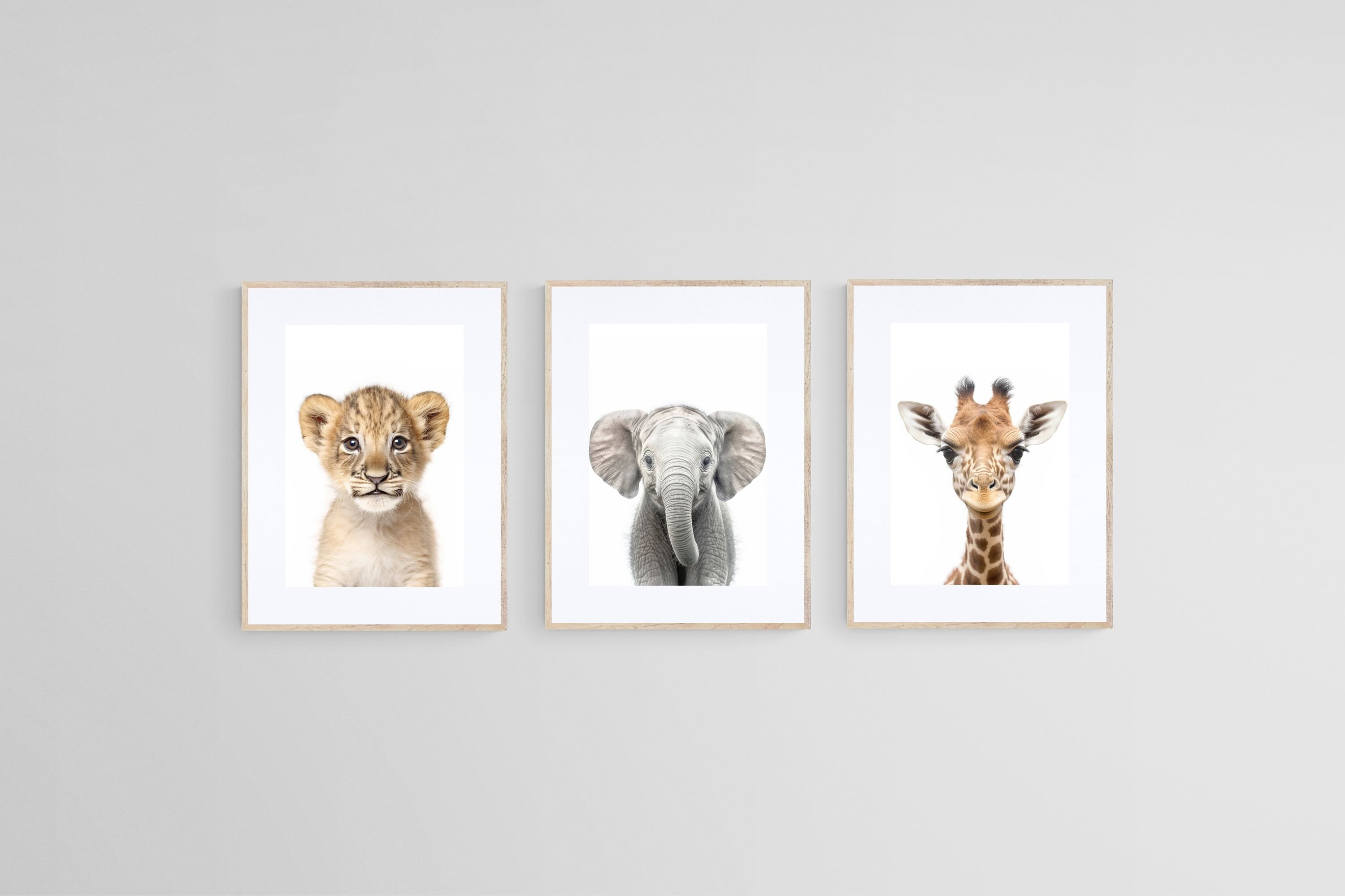 Lion Ele Giraffe Set-Wall_Art-45 x 60cm (x3)-Framed Print-Wood-Pixalot