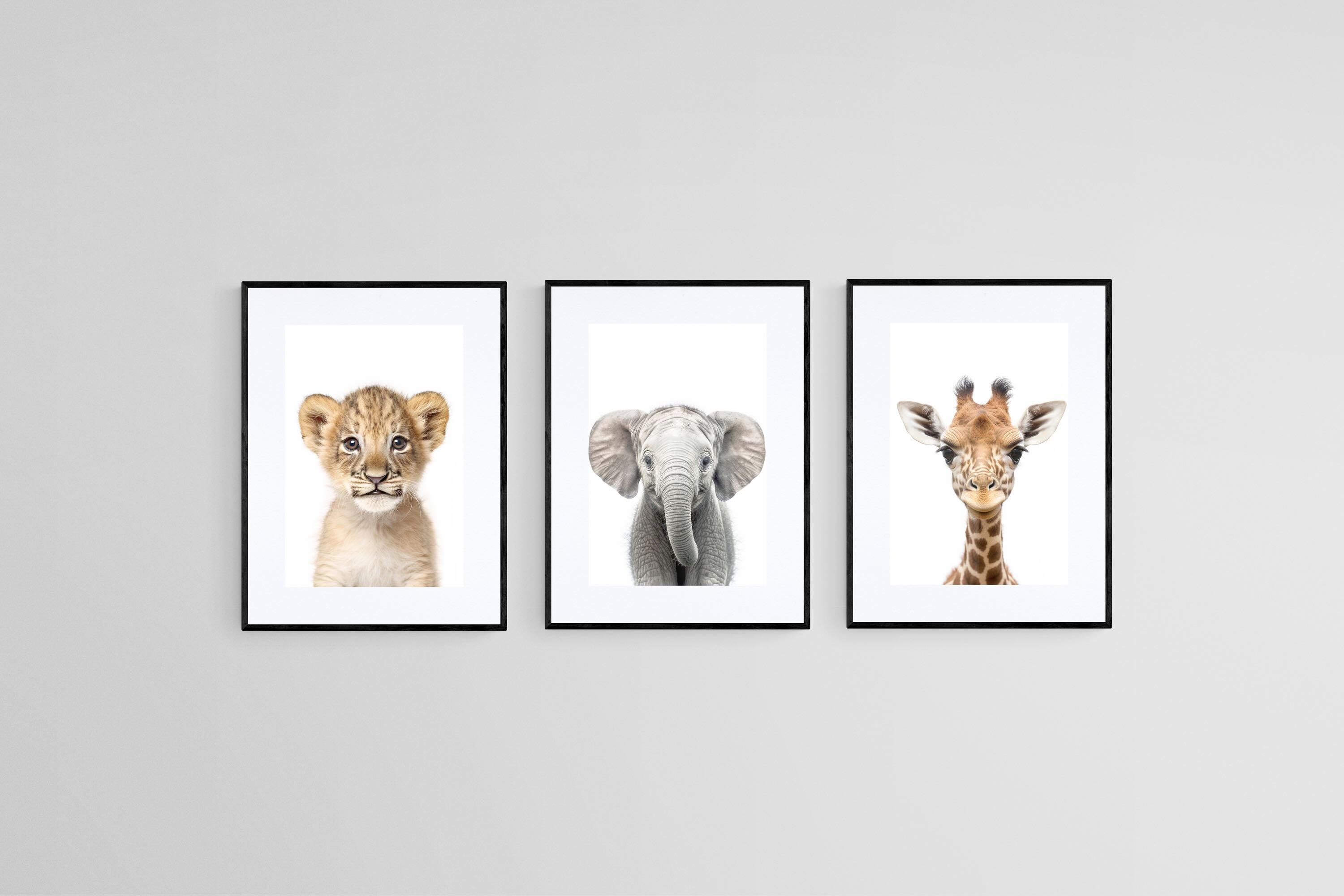 Lion Ele Giraffe Set-Wall_Art-45 x 60cm (x3)-Framed Print-Black-Pixalot