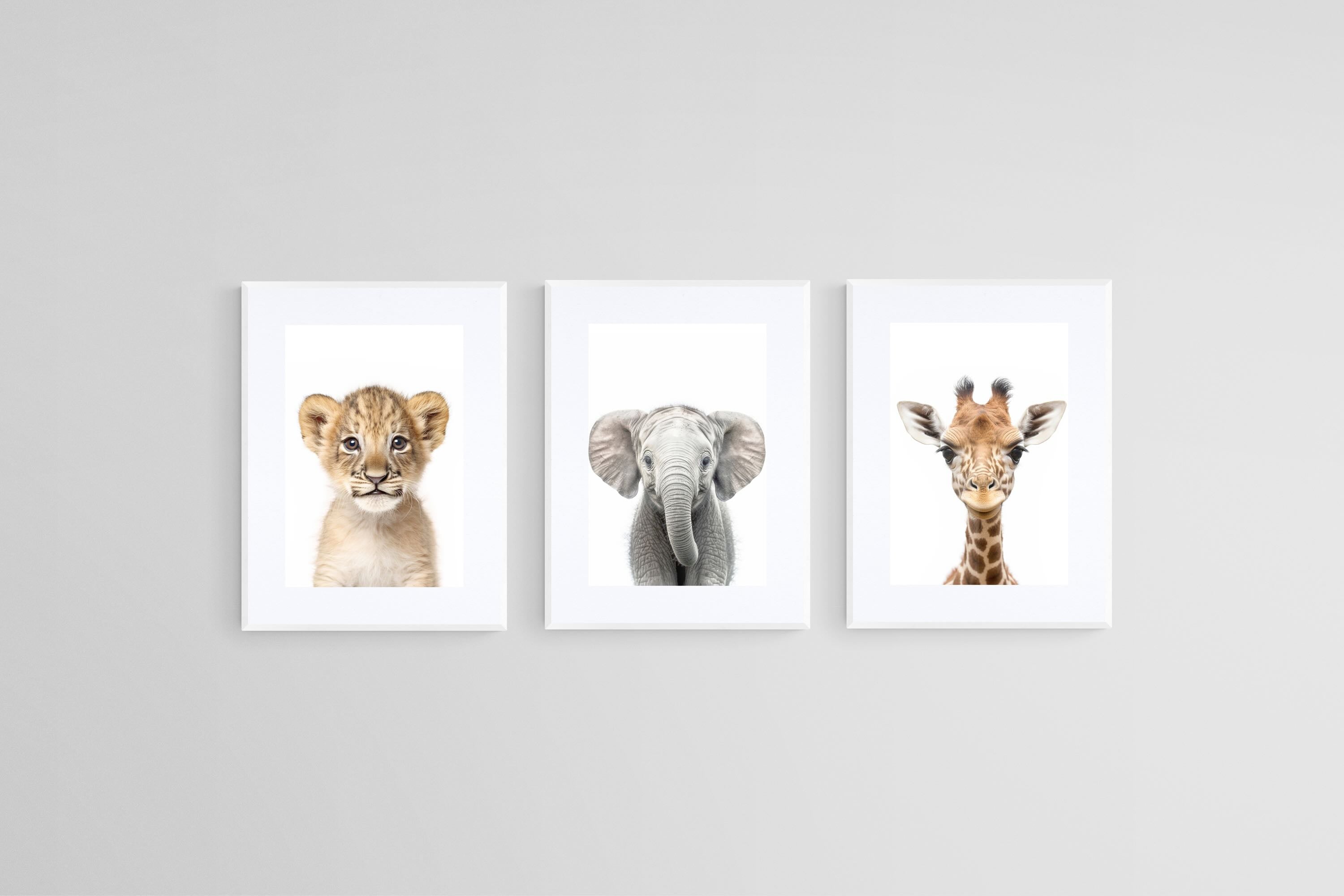 Lion Ele Giraffe Set-Wall_Art-45 x 60cm (x3)-Framed Print-White-Pixalot