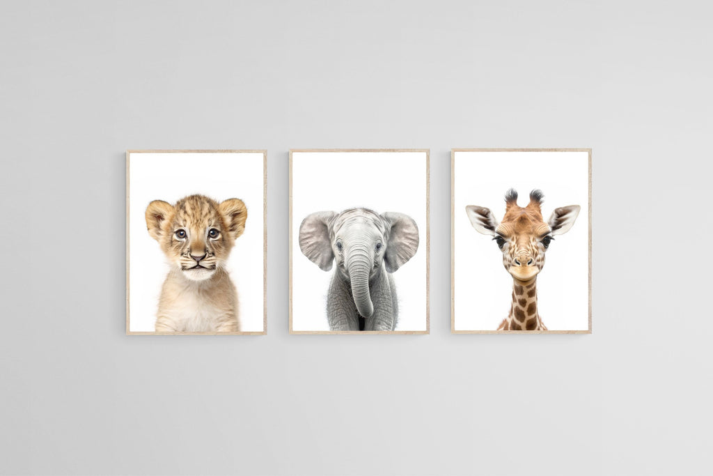 Lion Ele Giraffe Set-Wall_Art-45 x 60cm (x3)-Mounted Canvas-Wood-Pixalot