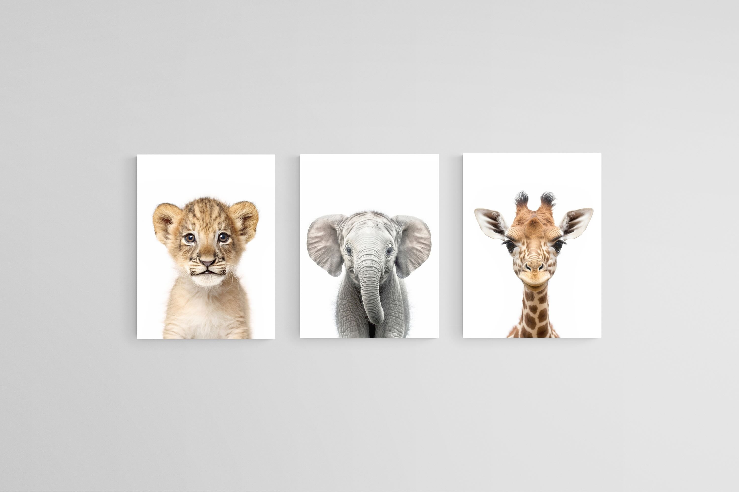 Lion Ele Giraffe Set-Wall_Art-45 x 60cm (x3)-Mounted Canvas-No Frame-Pixalot