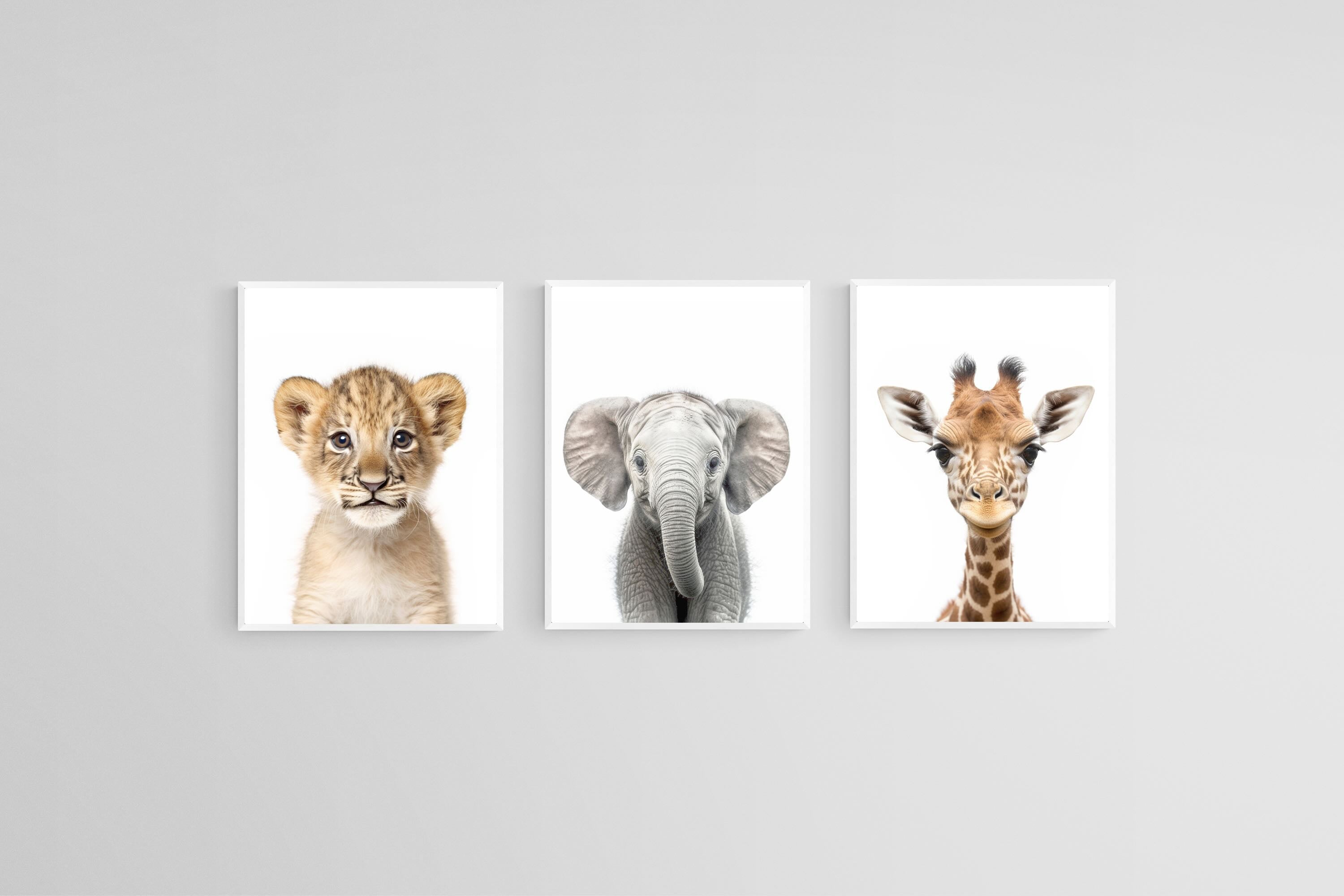 Lion Ele Giraffe Set-Wall_Art-45 x 60cm (x3)-Mounted Canvas-White-Pixalot