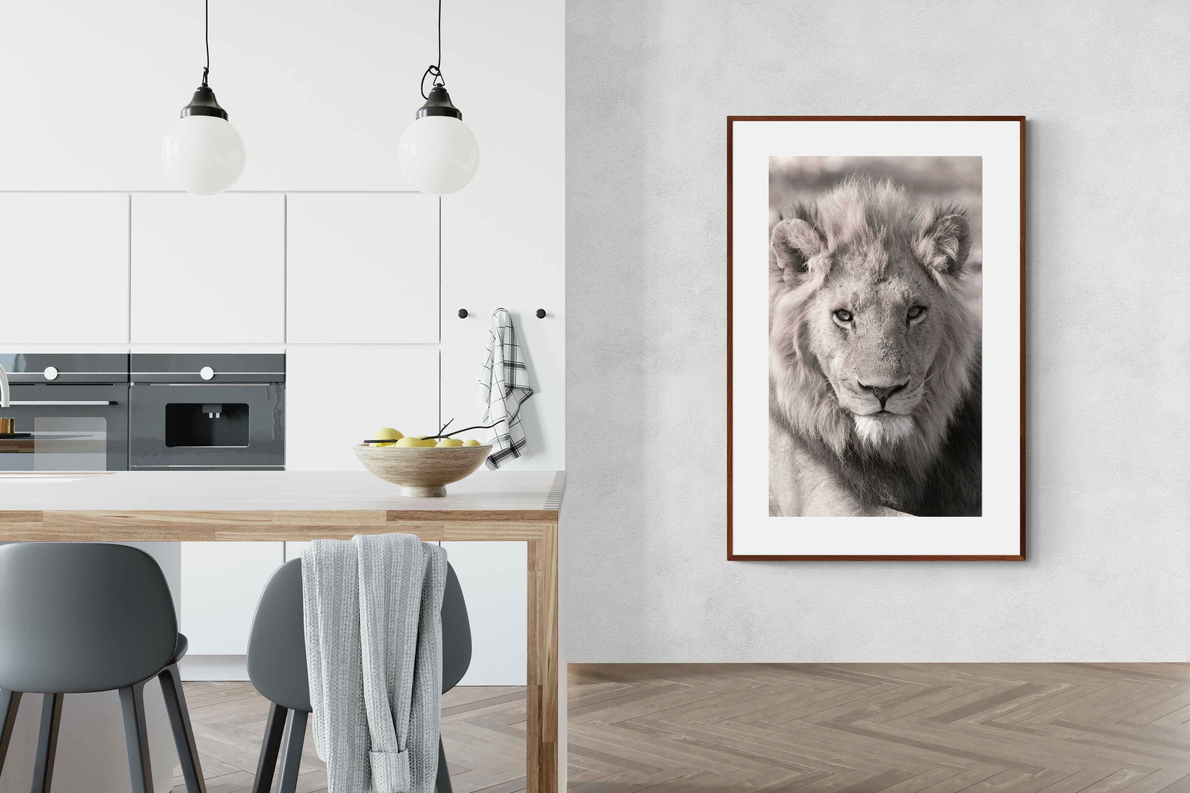 Pixalot Lion Eyes