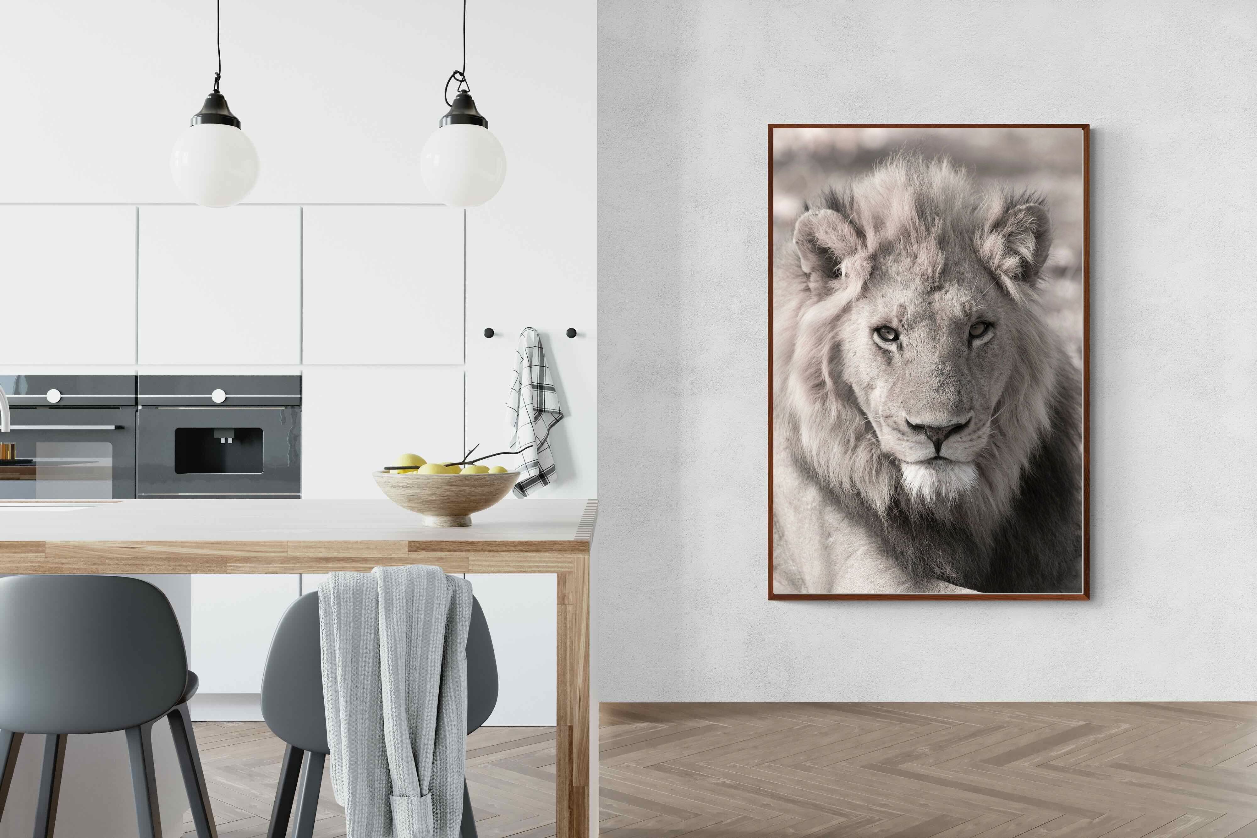 Pixalot Lion Eyes