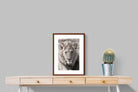 Pixalot Lion Eyes