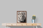 Pixalot Lion Eyes