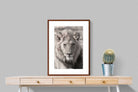 Pixalot Lion Eyes
