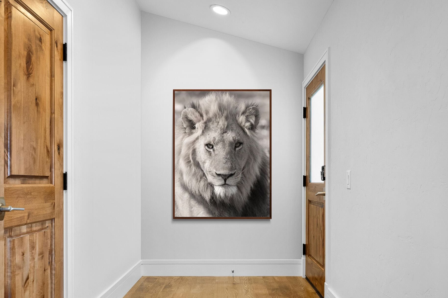 Pixalot Lion Eyes