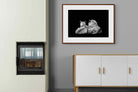 Pixalot ® Lion Family
