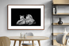 Pixalot ® Lion Family