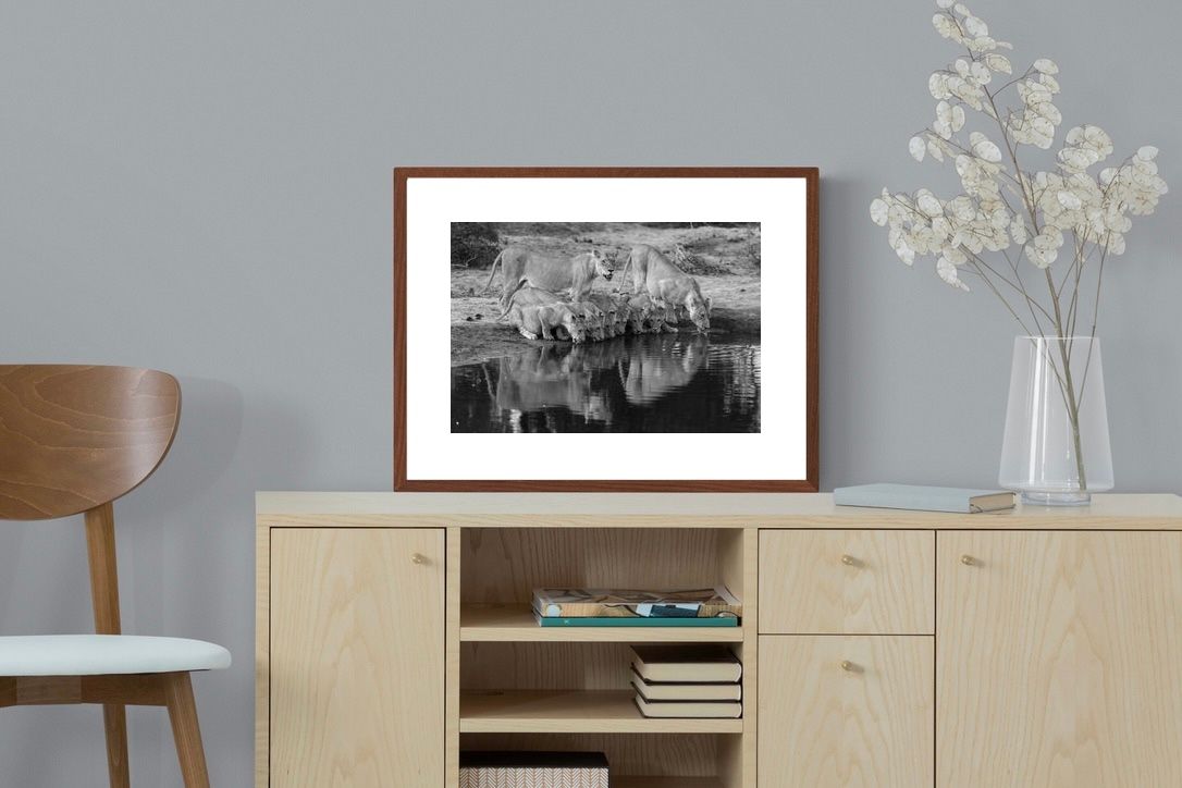 Pixalot ® Lion Lake Family