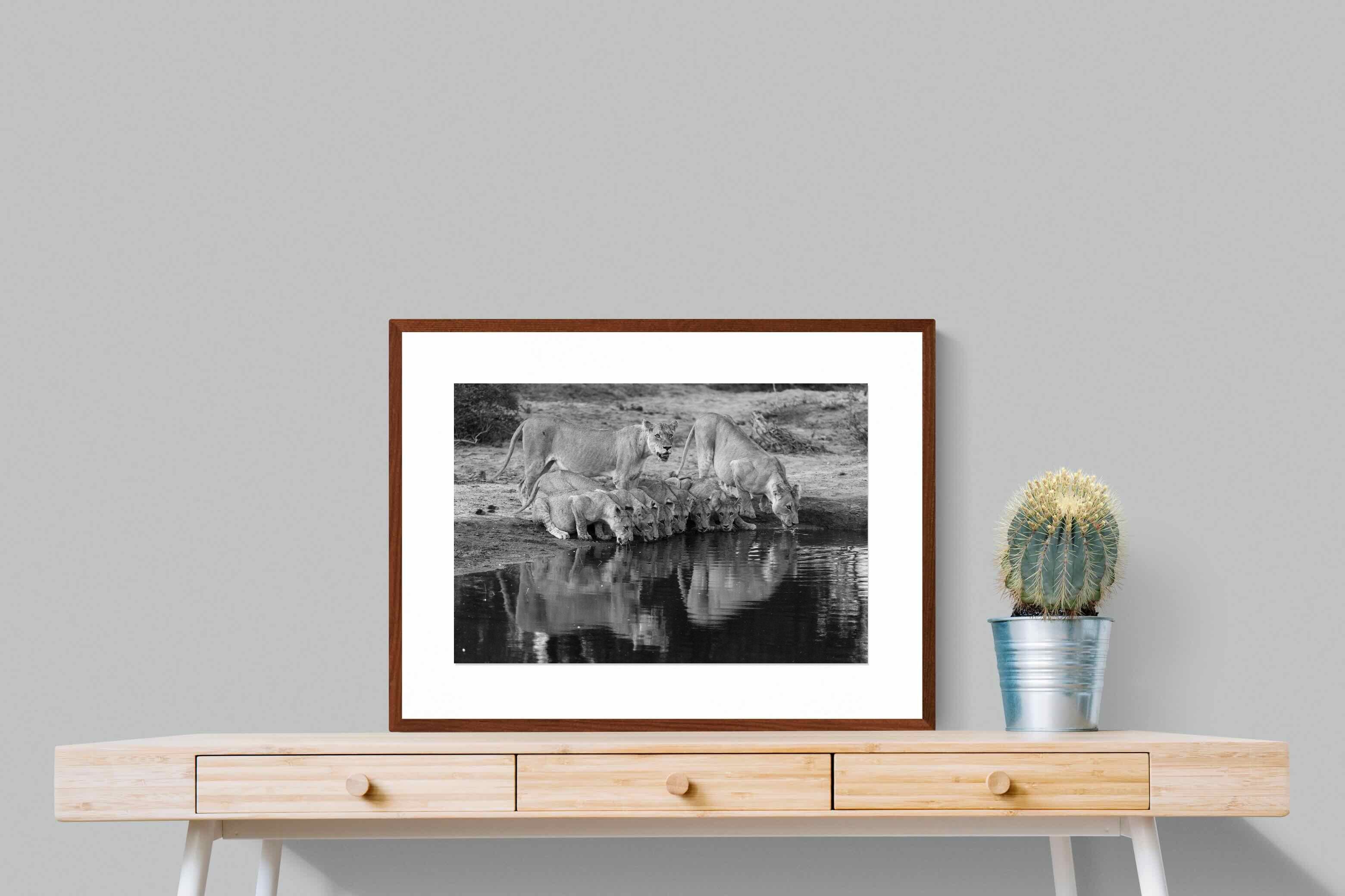 Pixalot ® Lion Lake Family