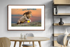Pixalot ® Lion Sunset