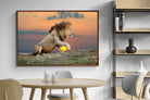 Pixalot ® Lion Sunset