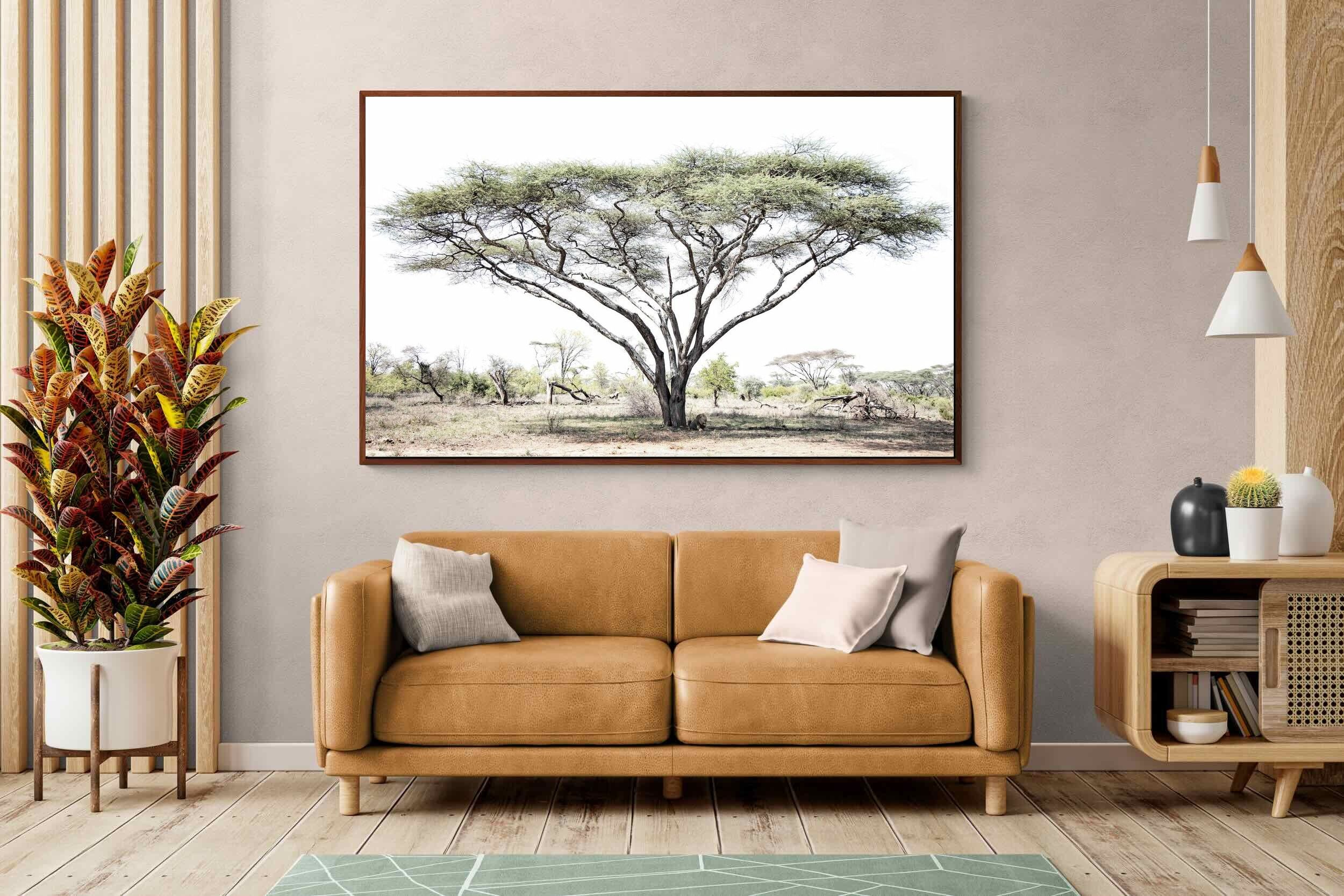 Pixalot Lion Under Umbrella Tree