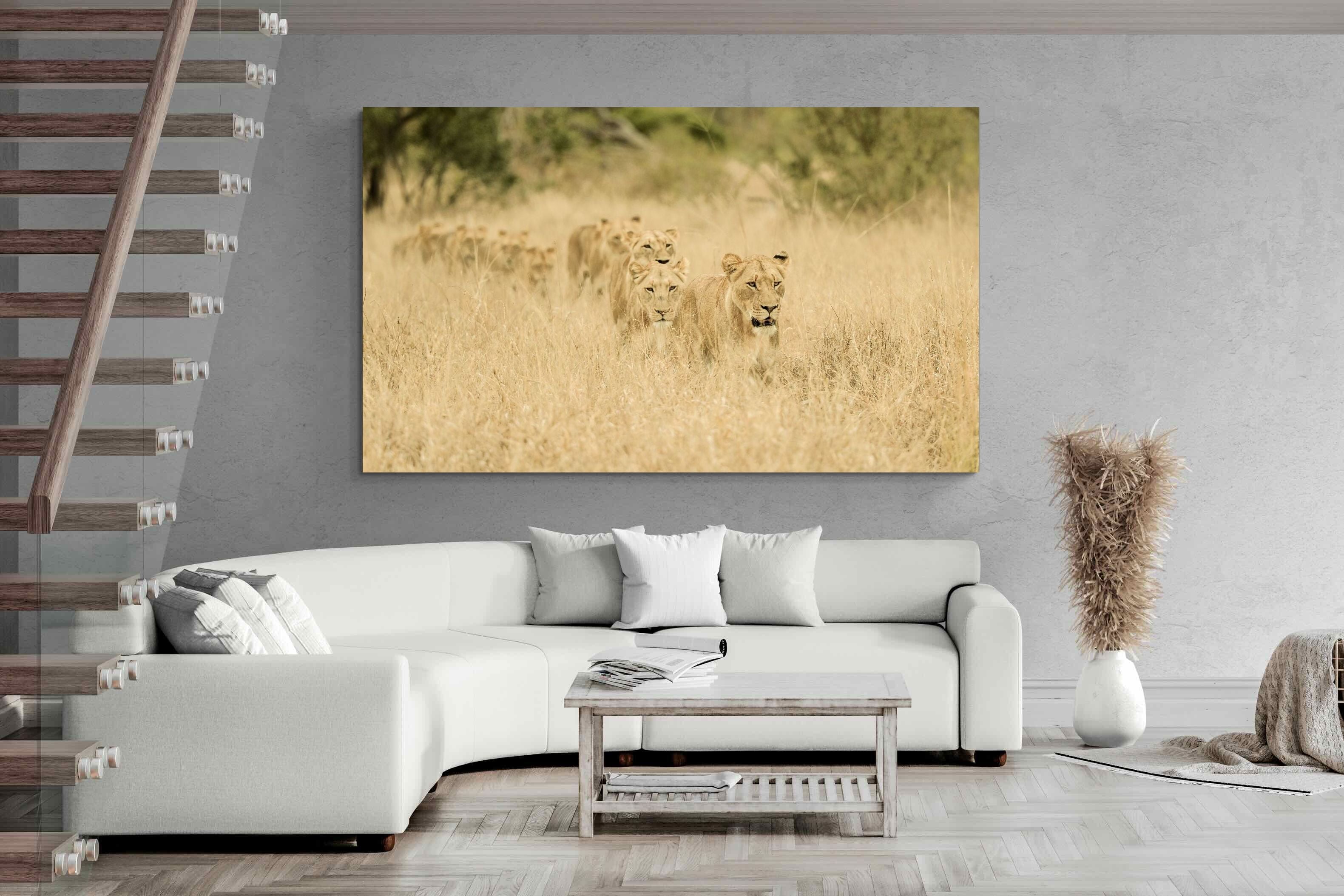 Pixalot Lionesses in Formation