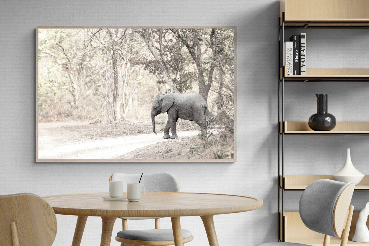 Pixalot ® Little Wanderer