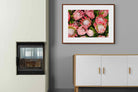 Pixalot ® Lush Proteas