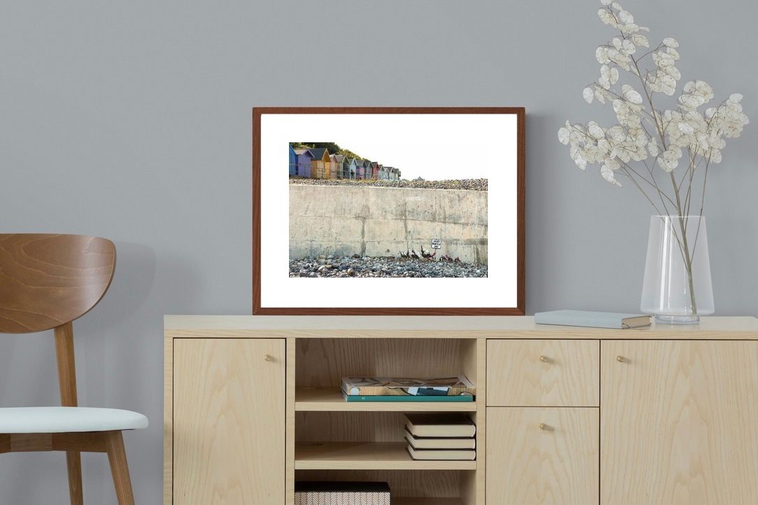 Pixalot Luxury Rentals Only