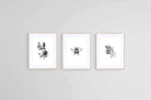 Magnolia Set-Wall_Art-60 x 80cm (x3)-Framed Print-Wood-Pixalot