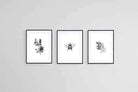 Magnolia Set-Wall_Art-60 x 80cm (x3)-Framed Print-Black-Pixalot