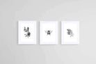 Magnolia Set-Wall_Art-60 x 80cm (x3)-Framed Print-White-Pixalot