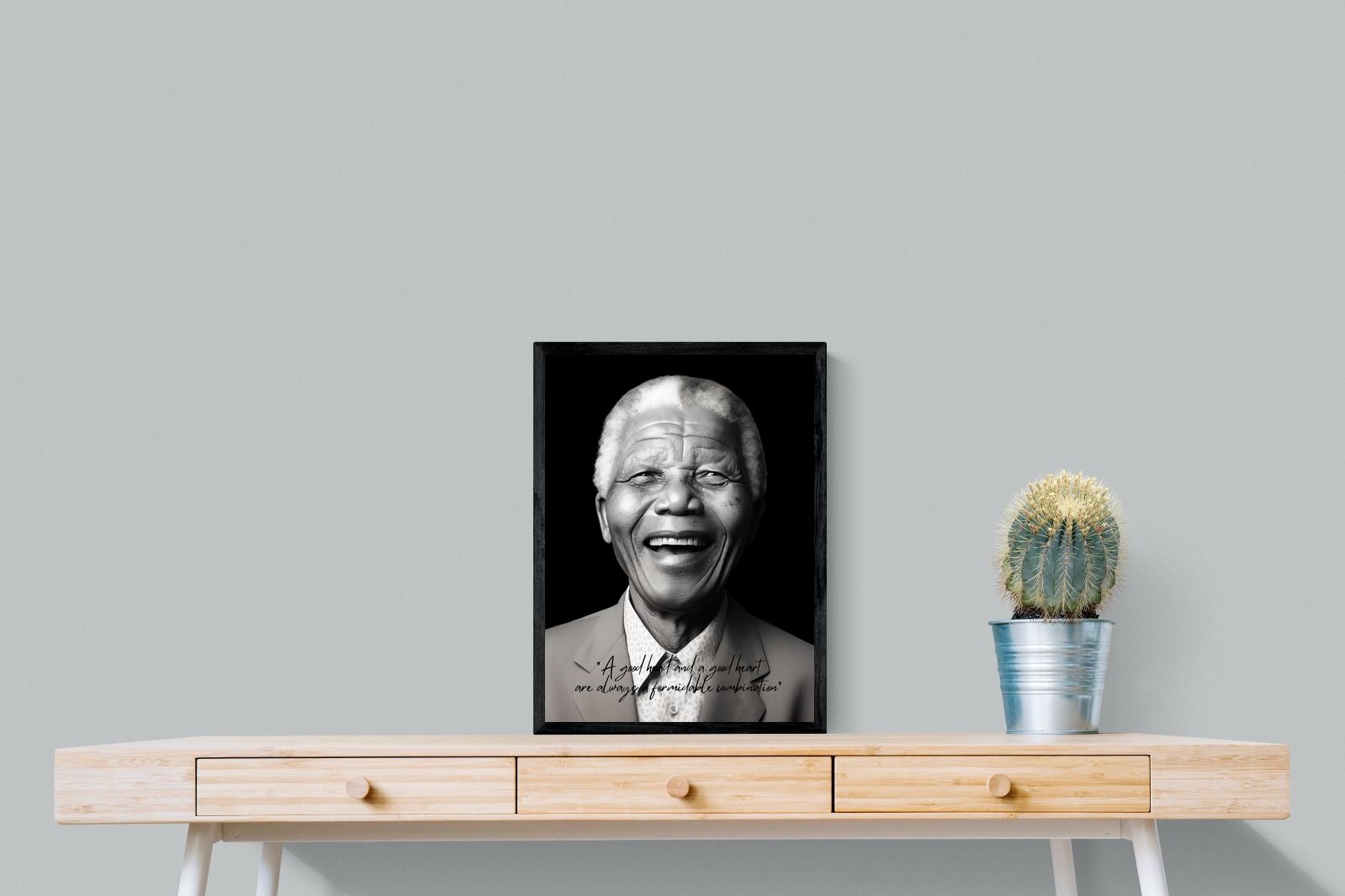 Pixalot Mandela's Wisdom