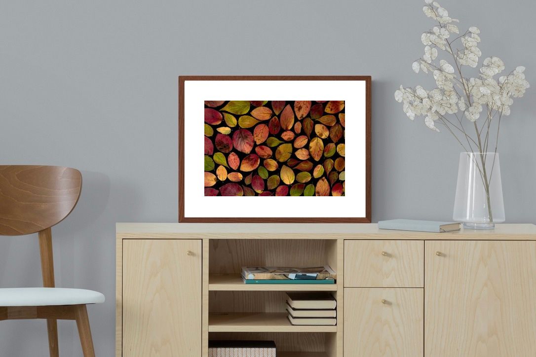 Pixalot Maple Leaves