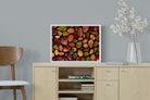 Pixalot Maple Leaves