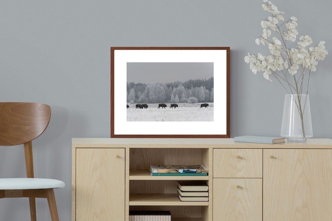 Pixalot ® March of the Bison