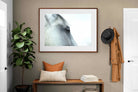 Pixalot ® Mare