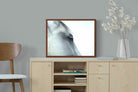 Pixalot ® Mare